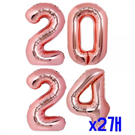 2024  ǳ Ű()- x2