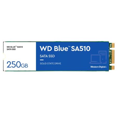 Ȱ  SATA SSD Ʈ Blue M.2 (250GB)