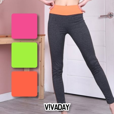 VIVADAY-WS66  䰡뽺