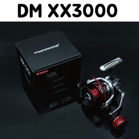ST ̳̽   Ʈ DM XX3000