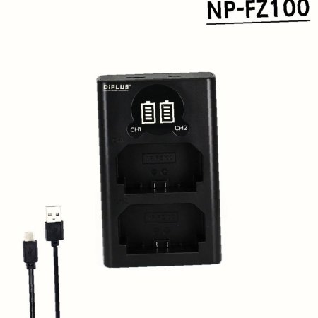 ȣȯ FZ100  NP  CŸ5ɰ LCD