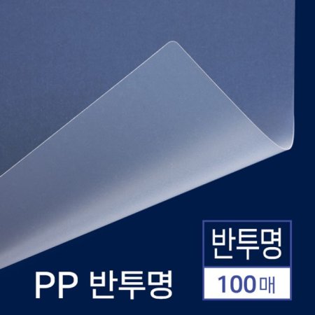 PP ǥ  100 (A4  0.5)