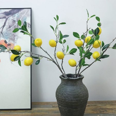 (헨리제이에스)레몬트리 조화나무 화분 인테리어장식
