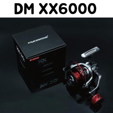 ST ̳̽   Ʈ DM XX6000
