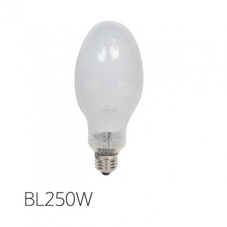 鿭 BL  250W E39 ׸ 