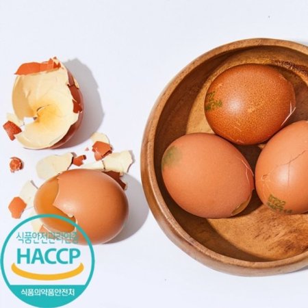 HACCP ƹݼ   / 60 + ұ 2 (ǰҰ)