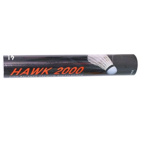 Ʋ ȣũ HAWK2000(12)