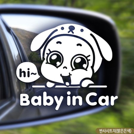 Ӵ  Baby in Car ݻ