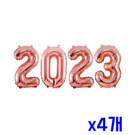 2023  ǳ Ű()- x4