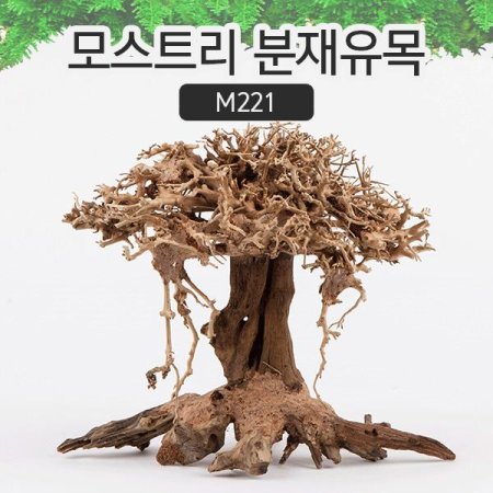 Ʈ  M221  Ȱ  ̾ƿ 