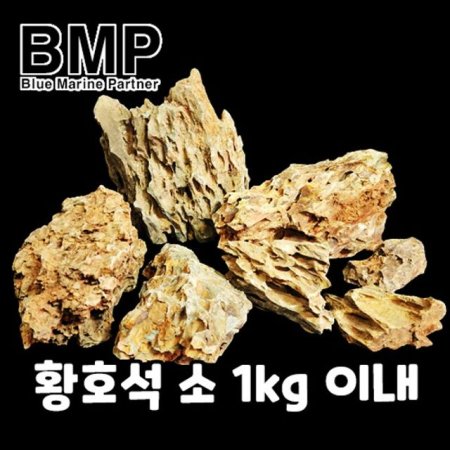 BMP  ̾ƿ Ȳȣ  1kg ̸ ( )