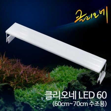 Ŭ LED Ƹ  60cm (DSA0867)