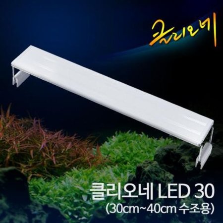 Ŭ LED Ƹ  30cm (DSA0869)