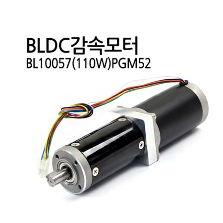 BLDC BL10057(110W) Ӻ1 81 (M1000015749)