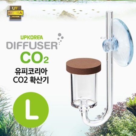  UP ̻ȭź CO2 ۿ п ǻ L (DSA