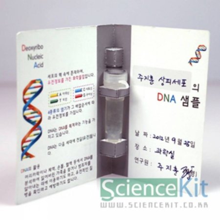 (SC) DNA2 (4ο)