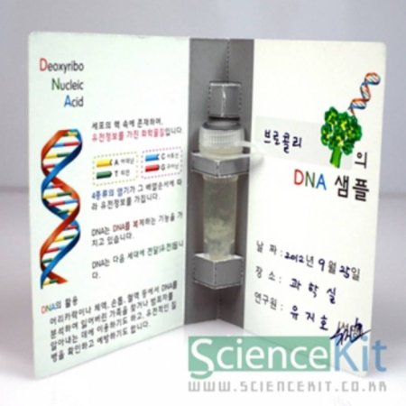 (SC) DNA1 Ĺ(4ο)
