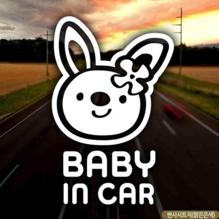 ڵƼĿ baby in car 䳢  ݻƮ
