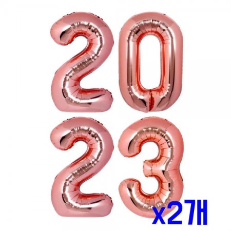 2023  ǳ Ű()- x2