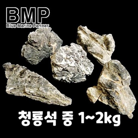 BMP  ̾ƿ û漮  1kg~2kg ( )