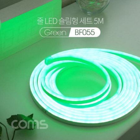 Ľ   LED  Ʈ 5M Green