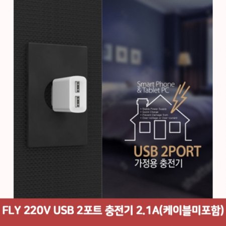 FLY 220V USB 2Ʈ  2.1A(̺)6271