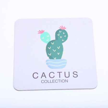  ڽ15cm cactus