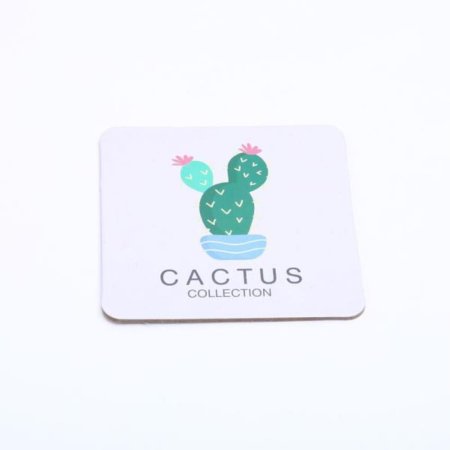 ڽ10cm cactus