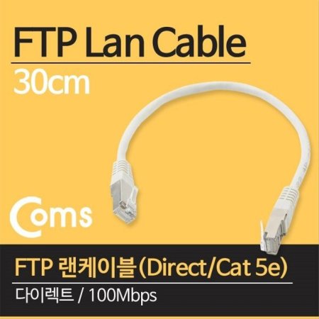 FTP ̺ Direct Cat5e 30cm ̷Ʈ 100Mbps