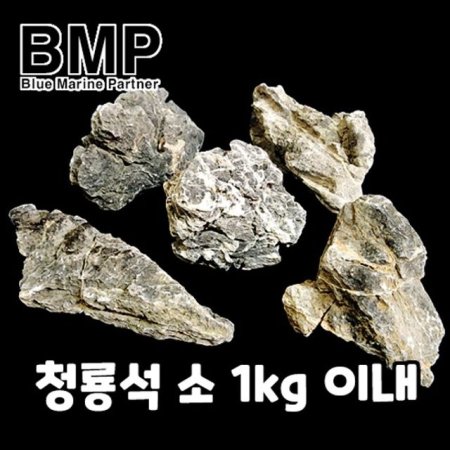 BMP  ̾ƿ û漮  1kg ̸ ( )