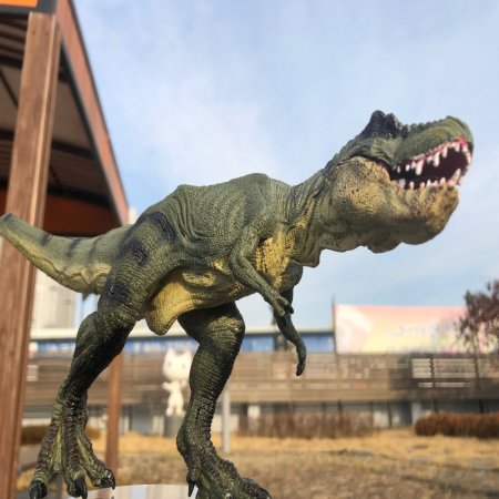 Tyrannosaurus Ƽ罺    (ǰҰ)