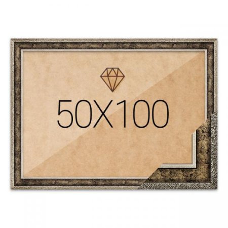 ڼ 50x100  ƽǹ (ǰҰ)