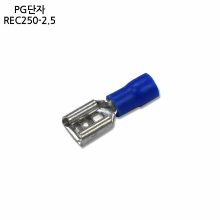 ѿ PG REC2502.5 10 PG͹̳