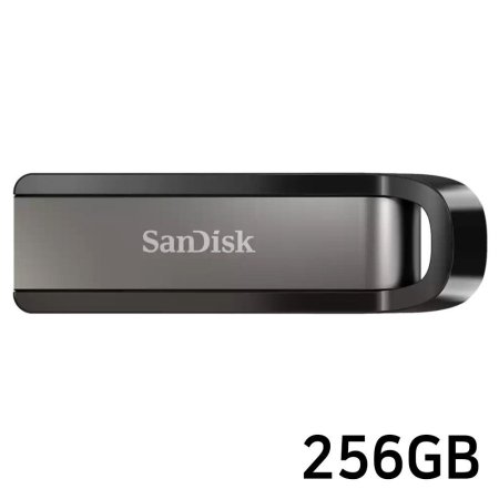 SanDisk USB ̺ Extreme Go Z810 256GB