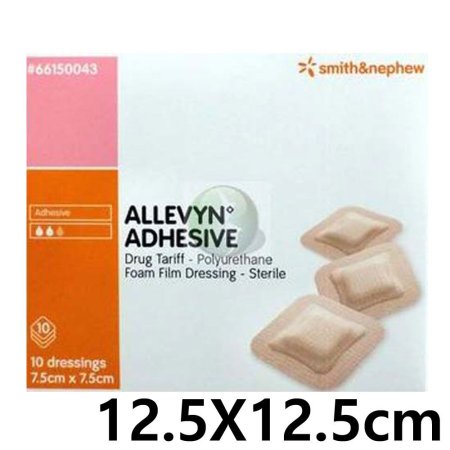 S N ˷ ALLEVYN adhesive 12.5X12.5cm 10 â (ǰҰ)
