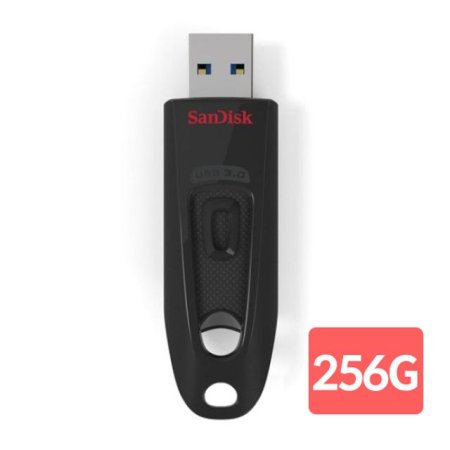 SanDisk USB Ʈ 256GB SDCZ48-256G