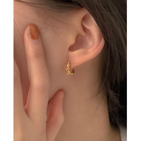 (925 Silver) Lion ring earrings E 122