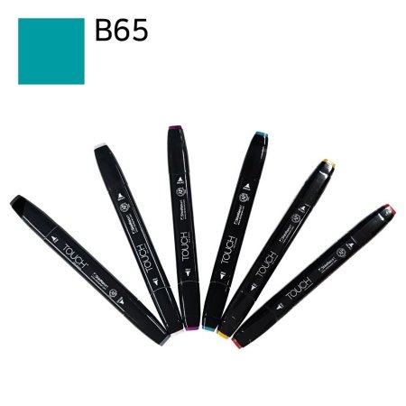  ġƮī B65 ̽ 6