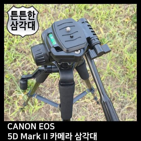 T.CANON EOS 5D Mark II ī޶ ﰢ