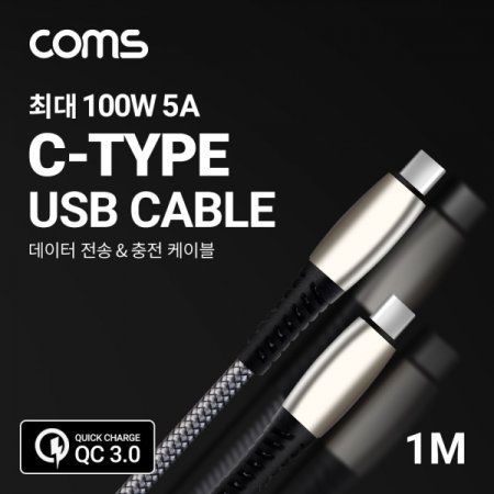 100W USB ̺ ( C Type to C Type ) 1M Gray