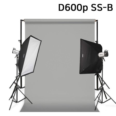 Կ Ʈ D600p SS-B ̵  ׷