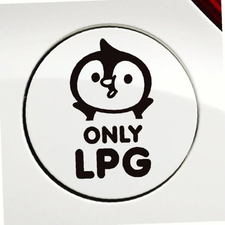 ر ƼĿ  LPG ڵ only