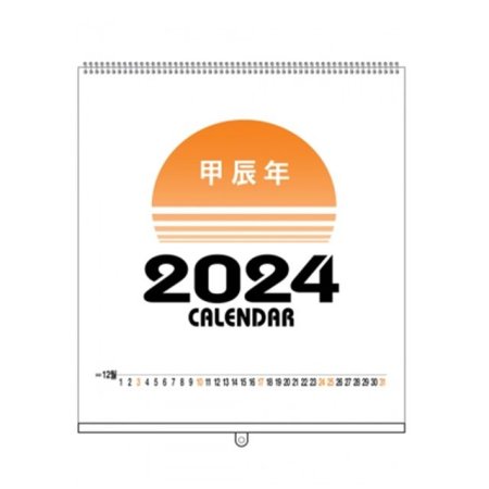 2024    ޷ 3118 (100)