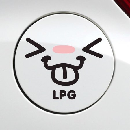  ޷ձ LPG ƼĿ 