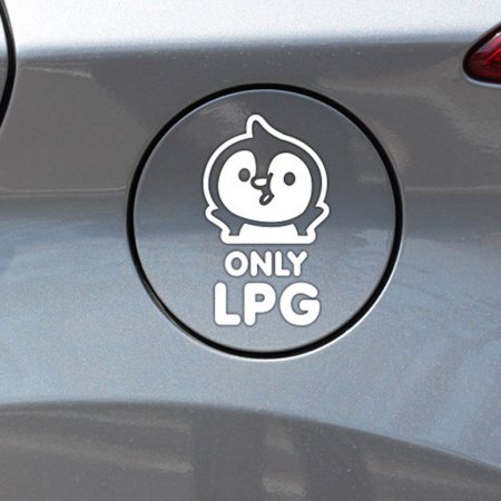 ƮƼ only LPG ƼĿ ȭƮ