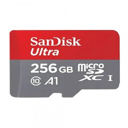 SanDisk ޸ī Ʈ microSDXC 256GB (120MB S)