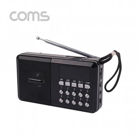 ȿ  FM Radio With USB TF(Micro SD) Black